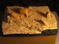 IMG_2250.JPG