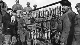 _71846607_1326440_topfoto_rats.jpg