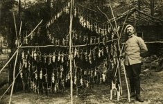 rat-hunter-WWI-france-trenches-1916.jpg