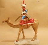 dromedary2.JPG
