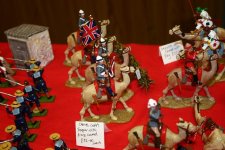 Camel Cor[s.JPG