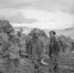 300px-2nd_Btn_Parachute_Regiment_Tunisia.jpg