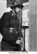 ss-honours-guards-at-the-munich-knigsplatz-dyyta8.jpg