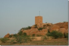 FFL IMG_7803_thumb.jpg