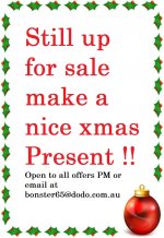 holly-Christmas-ornament-border-930.jpg