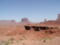 Indian Cowboy  Monument Valley treefrog 1.jpg