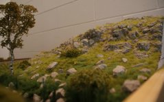 DSC05112.jpg