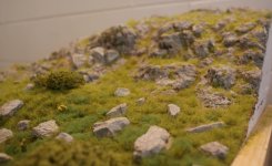 DSC05113.jpg