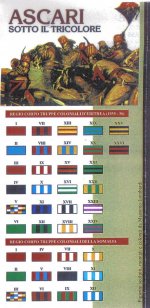 Askari colours regiments[1].jpg