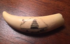 Scrimshaw 12.jpg