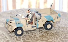 SAS03[1].jpg
