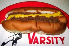 Varsity Dog.jpg