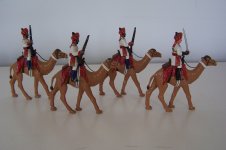 IC3 & IC4 Bikaner Camel Corps (1).JPG