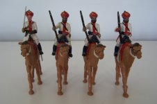 IC3 & IC4 Bikaner Camel Corps (2).JPG