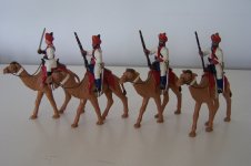 IC3 & IC4 Bikaner Camel Corps (3).JPG