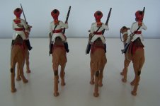 IC3 & IC4 Bikaner Camel Corps (4).JPG