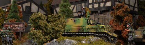 TOS11234-p.JPG