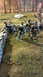 Irish Brigade at wall.jpg