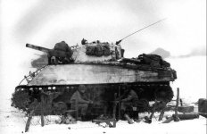 68th Bn Sherman 16 2.jpg