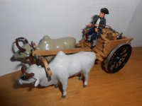 DSCN9662.JPG
