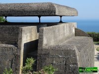 05-german-coastal-defense-battery-normandy-atlantic-wall.jpg