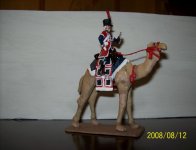 camel.JPG camel.JPG