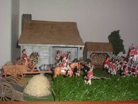 Picture2.jpg