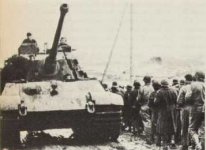 kingtiger10.jpg