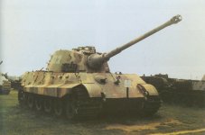 TigerII_small.jpg