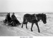 german-soldiers-on-a-horse-carriage-on-the-eastern-front-1942-c45mxx.jpg