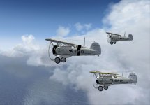 Boeing-F4B-4-Repaint-fsx2.jpg