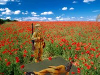 GoodByePoppies1Signed.jpg