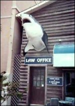 LawOffice.jpg