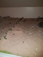 20171204_225410-768x1024.jpg