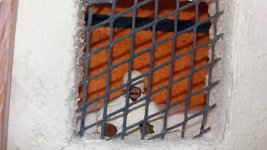 20180115_132201.jpg
