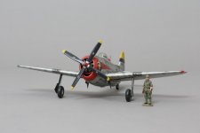 P47 Thunderbolt (10).jpg