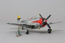 P47 Thunderbolt (16).jpg