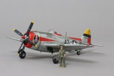 P47 Thunderbolt (19).jpg