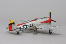 P47 Thunderbolt (7).jpg