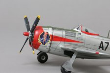 P47 Thunderbolt (3).jpg