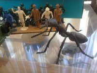 THEM!ant.jpg