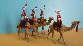 1384 PUNJAB CAMEL CORPS, BRITISH INDIA.jpg