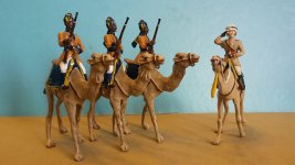 1386 SKINNER'S HORSE CAMEL CORPS, BRITISH INDIA.jpg