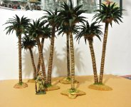 DESERT PALMS.jpg