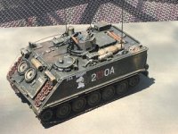 aussie3m113.jpg