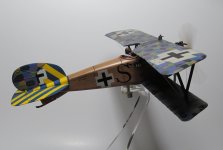 Flying Albatros 2.jpg