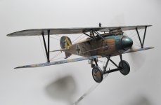 Flying Albatros 4.jpg