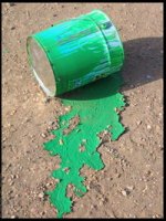 green paint.jpg