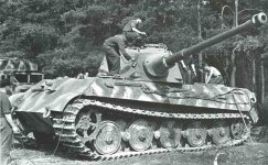 TigerII_Camo.jpg