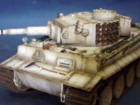 Tiger1.jpg